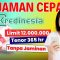 Kredinesia Solusi Pinjaman Online yang Mudah dan Terpercaya