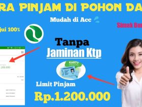 Pinjaman Online POHONDANA Solusi yang Cepat dan Aman