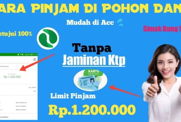 Pinjaman Online POHONDANA Solusi yang Cepat dan Aman