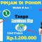 Pinjaman Online POHONDANA Solusi yang Cepat dan Aman